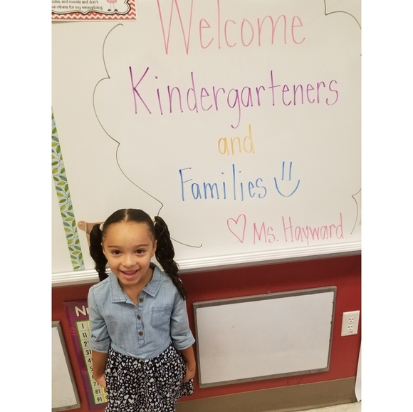 Toddler Girl Chambray And Chiffon heart Dress 5T - Picture 3 of 8